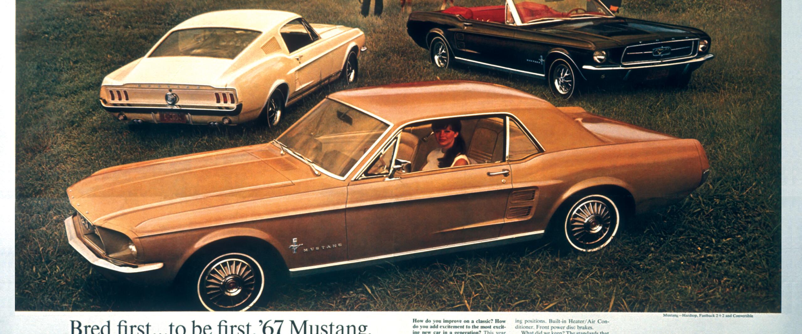 1967 Ford Mustang advertisement featuring two coupes and a convertible in a field. Two people interact with a horse in the background.