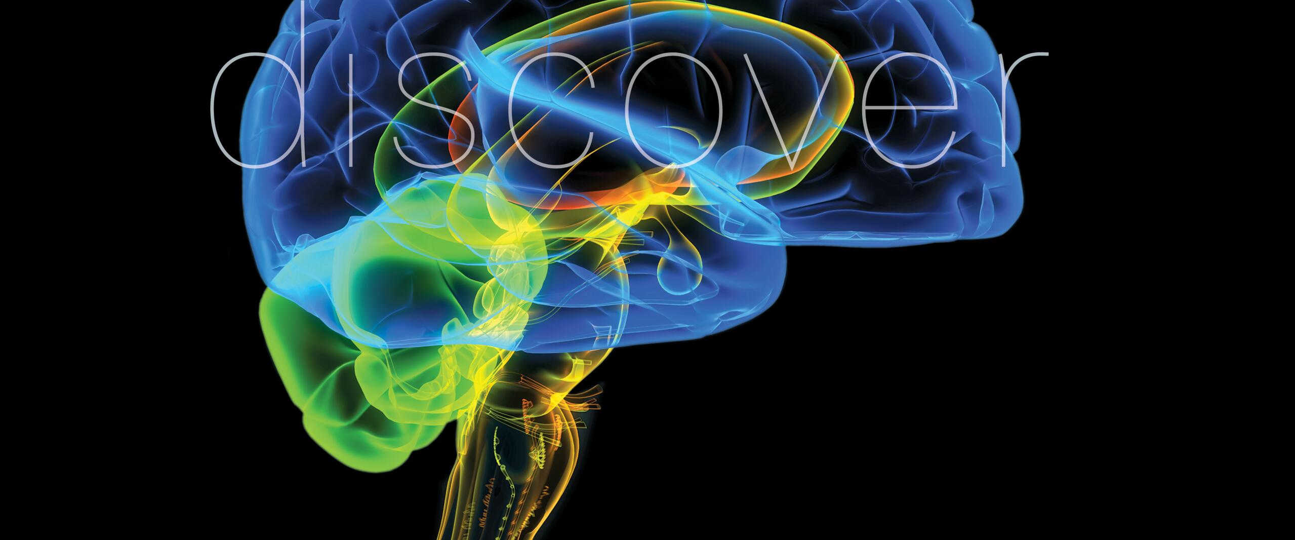 Colorful X-ray illustration of a human brain on a black background, highlighting neural pathways in blue, green, and yellow.