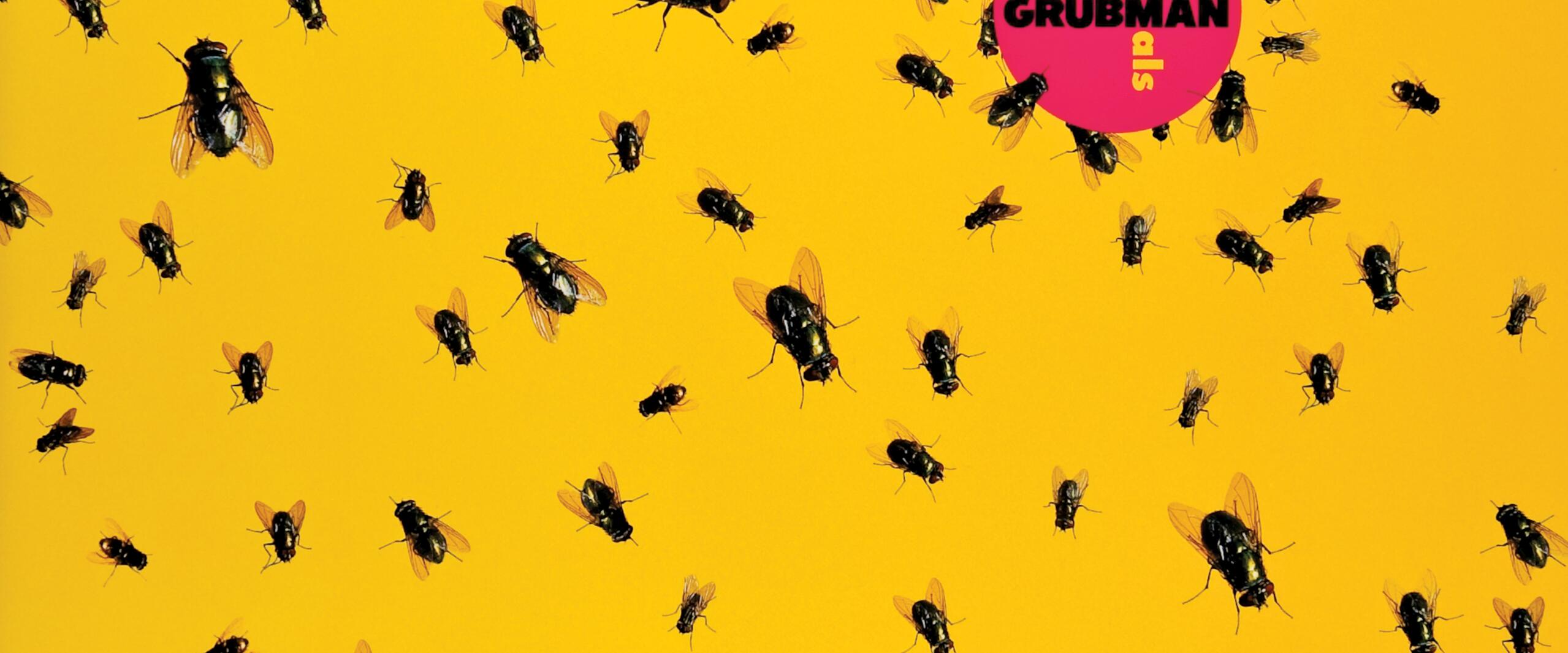 Numerous black flies scattered on a bright yellow background. A pink circular logo with "GRUBMAN" text is present among the flies.