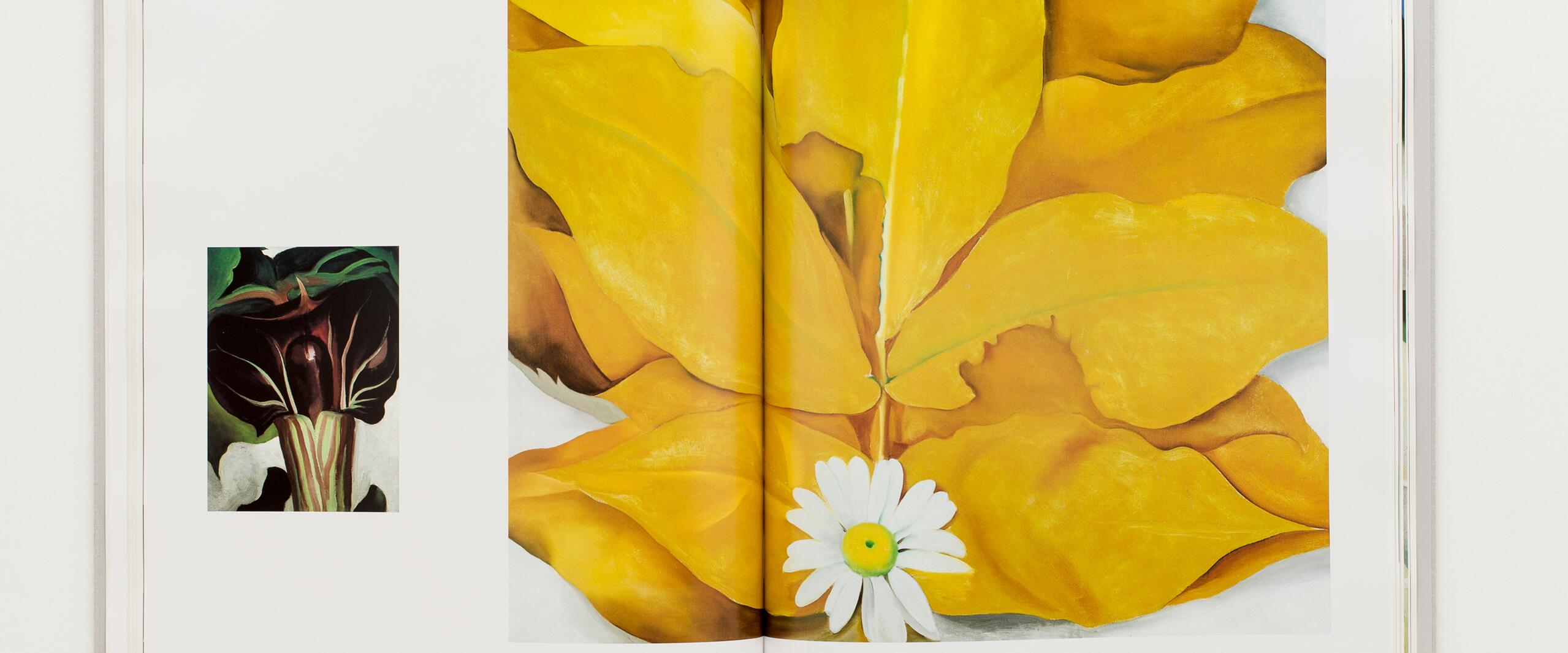 Open book displaying two paintings; one of a dark flower with green leaves on the left page and a large, vibrant yellow flower with a white daisy at its base on the right page.