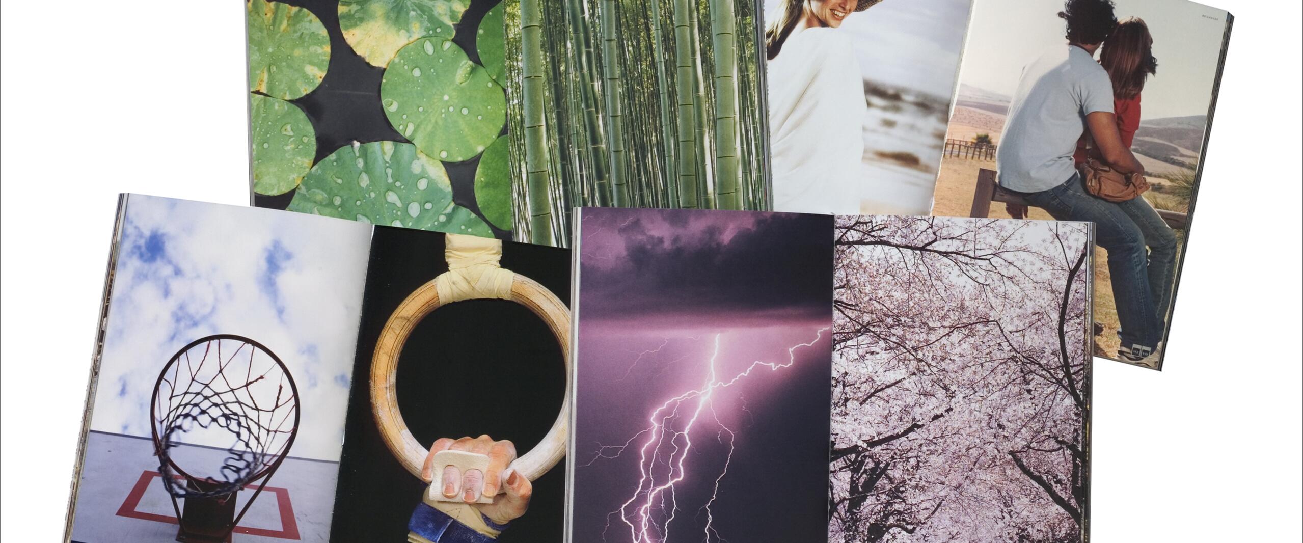 Open pages from a magazine displaying various photographs: green lily pads, bamboo stalks, a smiling woman in a hat, a couple sitting together, a basketball hoop, a gymnast holding a ring, a lightning strike, and blooming cherry blossoms.