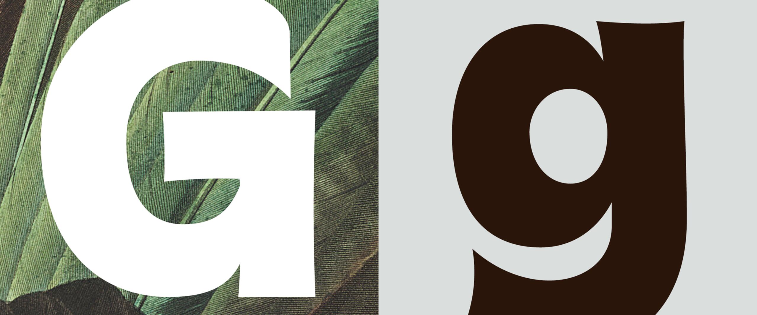 Large white uppercase "G" on a feather background and a large black lowercase "g" on a gray background, showcasing the typeface Wingspan with distinct curves and stems.