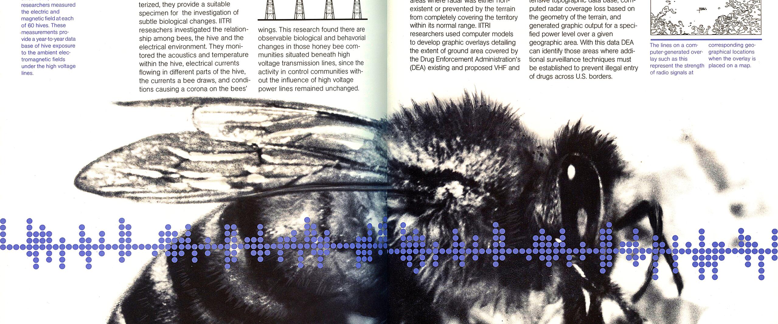 Large black-and-white close-up of a bee with blue waveform overlay, surrounded by scientific text discussing the effects of high-voltage power lines on bees and electronics technology in drug smuggling prevention. Diagram of transmission towers and terrain map included.