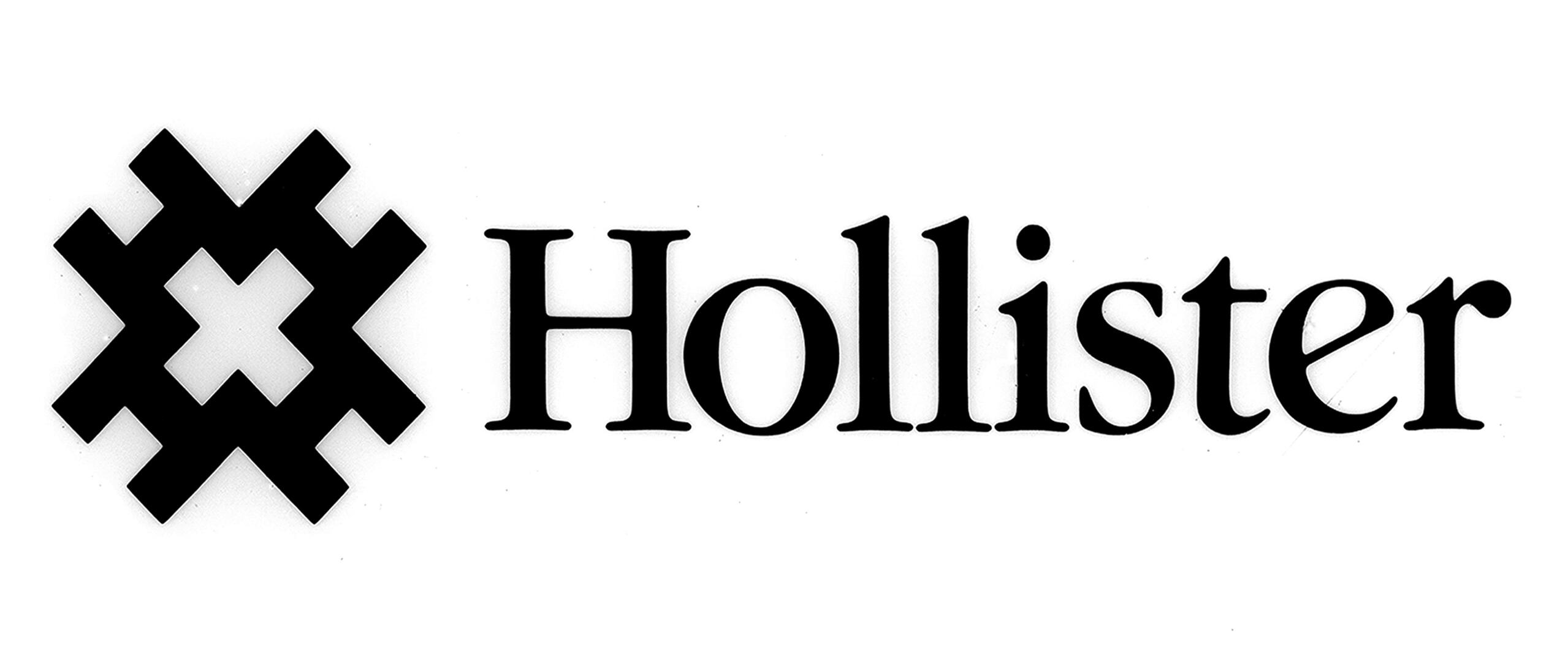 Hollister logo with a geometric black symbol next to the text.