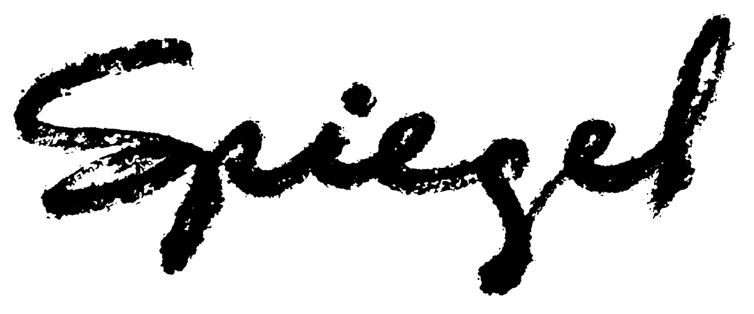 "Spiegel" written in black cursive on a white background.