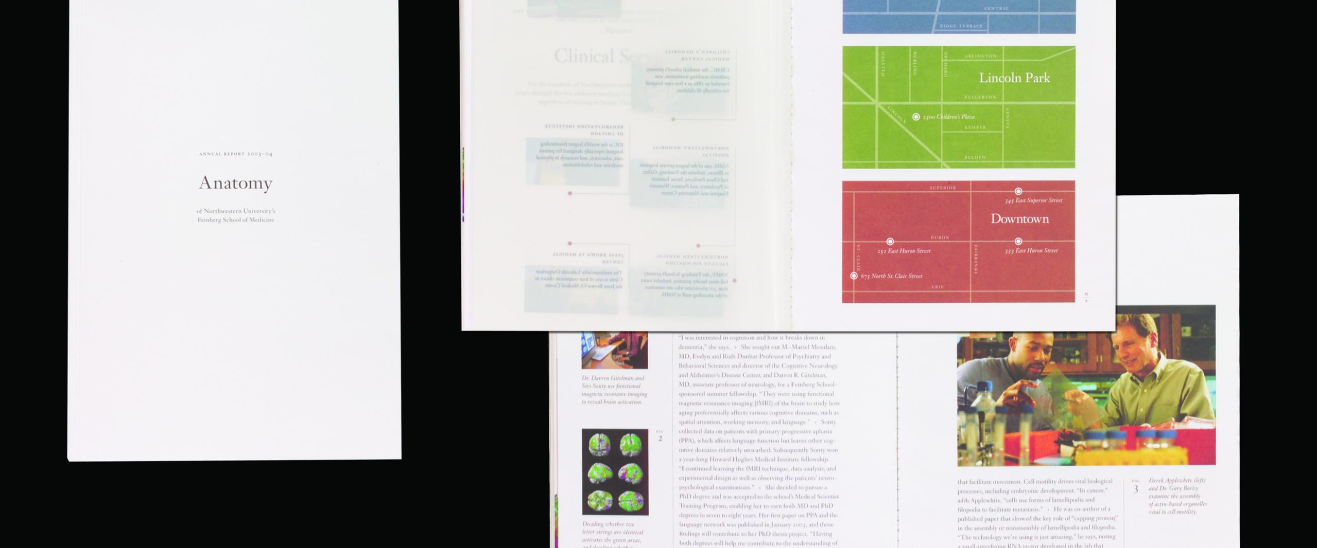 Three pages of a report titled "Anatomy" from Northwestern University's Feinberg School of Medicine. One page has labeled maps in blue, green, and red sections. Another shows text and an image of two people in a lab setting.