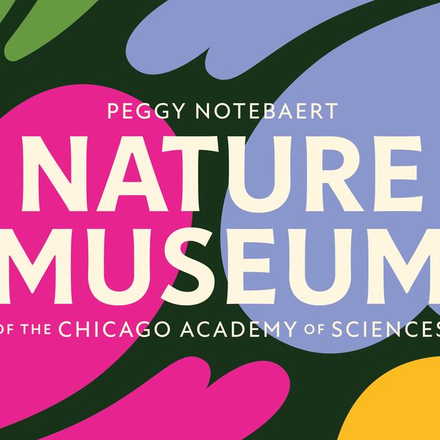 25B-02a_Nature Museum Brand Identity_Nick Adam/Cheryl Kao