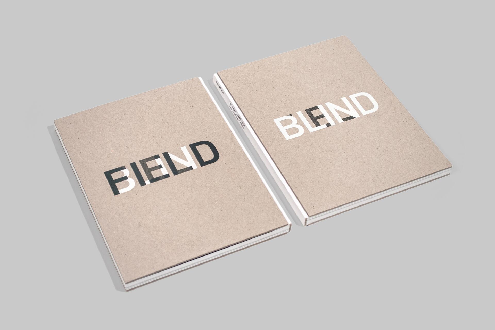 16C-102_Blind Field exhibition catalog_Silja Hillman/J. Brad Sturm/Cheryl Towler-Weese