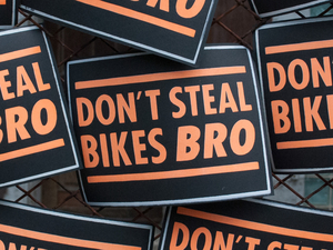 16C-115_Don't Steal Bikes Bro_Lauren Gallagher
