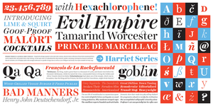 16C-145_Harriet Series Wall - A wall-sized graphic showing a typeface specimen_Jackson Cavanaugh